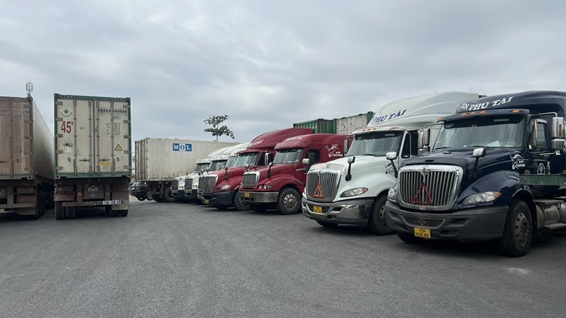 Nhà xe container Hải Phòng HÀNG HẢI VN - Giải pháp vận chuyển container toàn diện