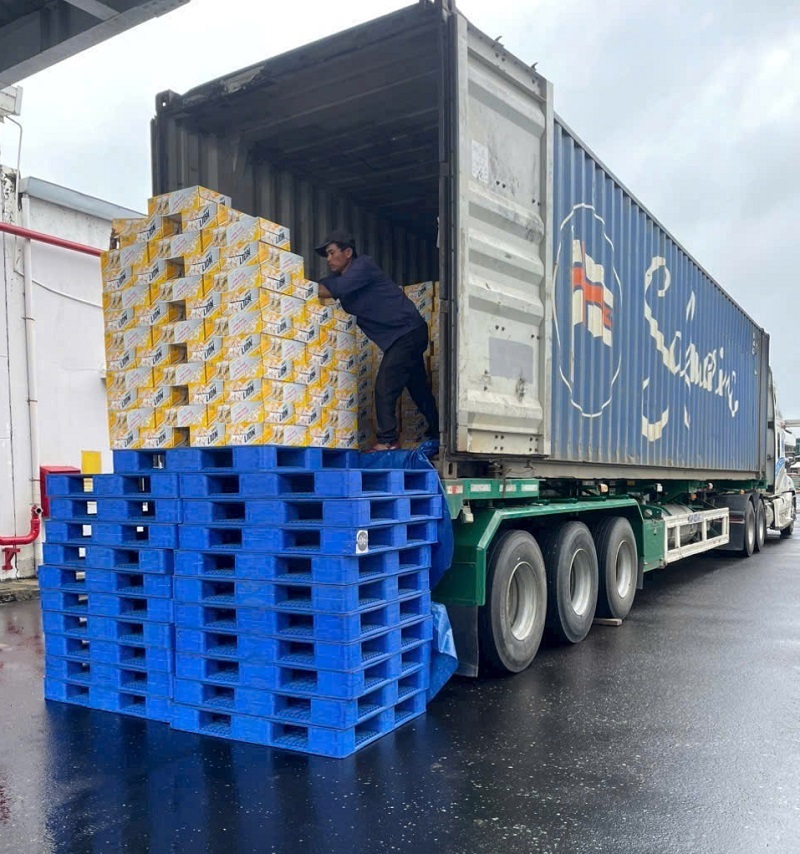 cho-thue-xe-cho-hang-quang-tri-di-hai-phong-container