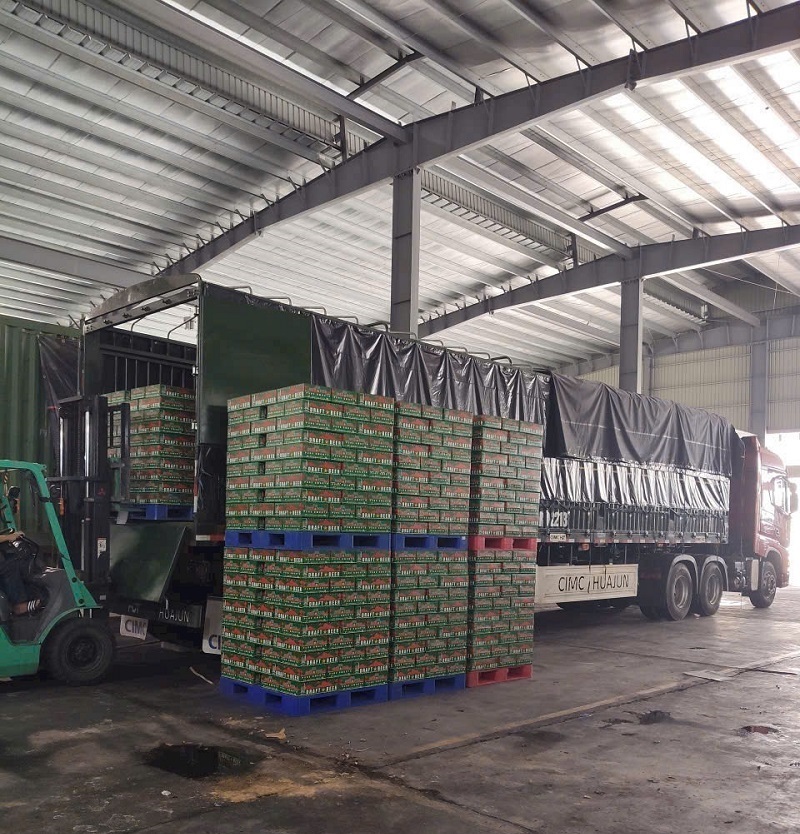 quy-trinh-boc-xep-hang-chuyen-nghiep-quang-ngai-long-an