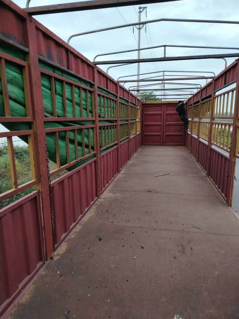 xe-dau-keo-mooc-san-quang-binh-ra-hai-phong