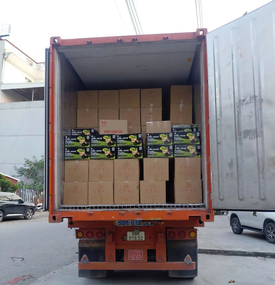 dong-goi-sap-xep-hang-trong-container-di-ba-ria-vung-tau
