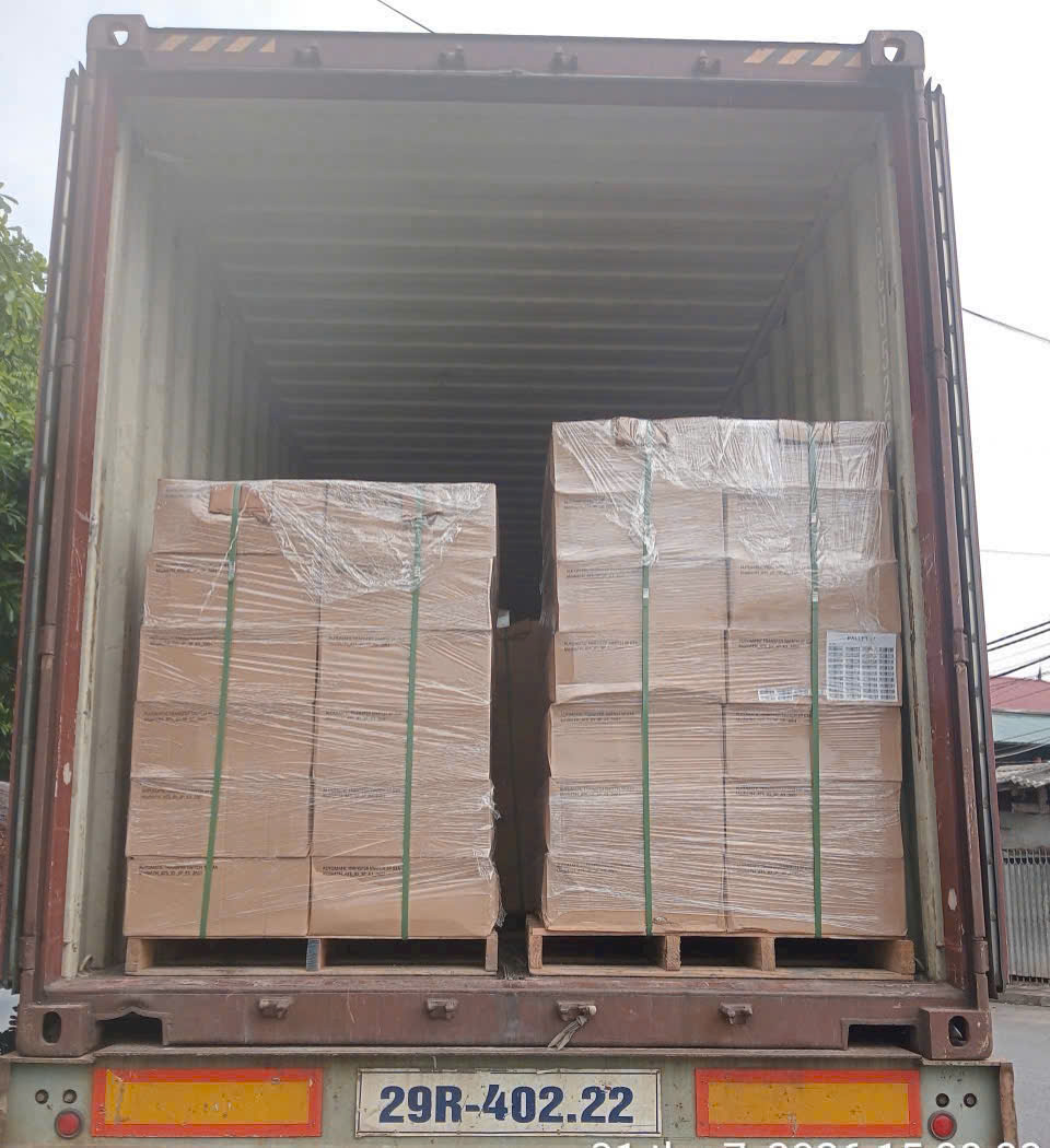 xe-dau-keo-container-van-chuyen-hang-cong-nghiep-dong-tren-pallet-an-toan